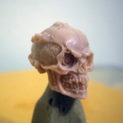 Robotic Skull